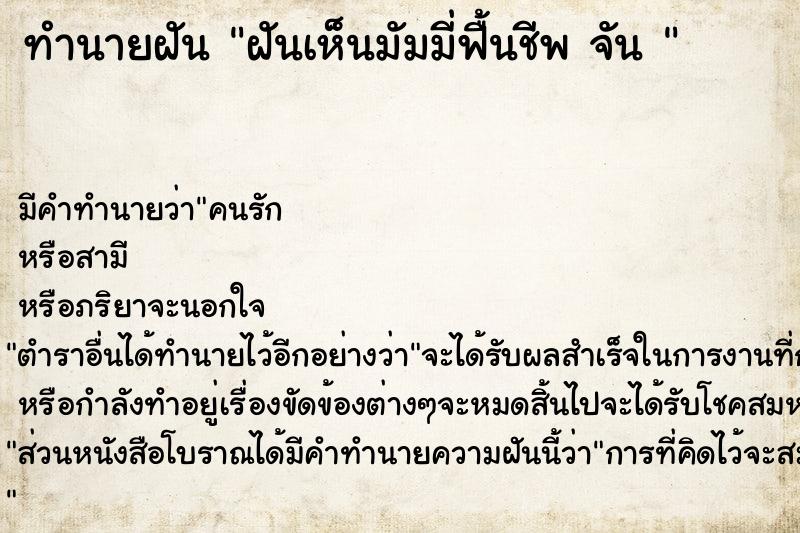 ทำนายฝันทำนายฝันฝันเห็นมัมมี่ฟื้นชีพจัน